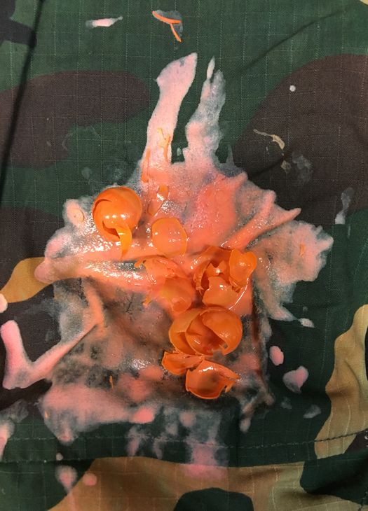 Paintballs testet på paintballdragt af polycotton