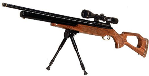 Webely Airguns Model 2000 Hunter SK