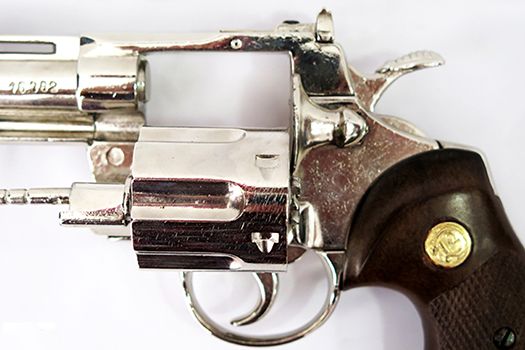 Python Denix Model Revolver