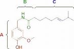 Capsaicin kemisk kæde